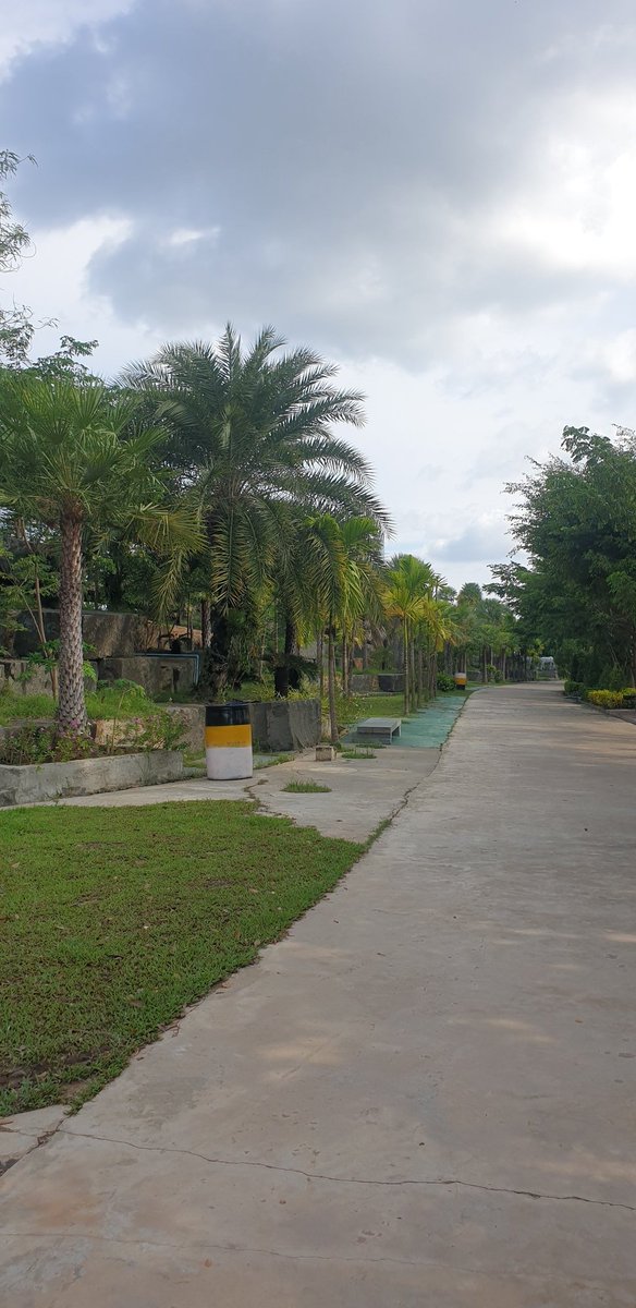 TLothin's tweet image. 💜