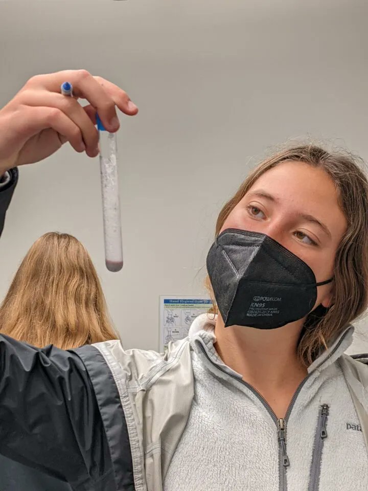 A Murderous Meal: Biology Students Experiment with Sugars, Protein, and Lipids buff.ly/3EfLlLJ #stem #WomenInSTEM
