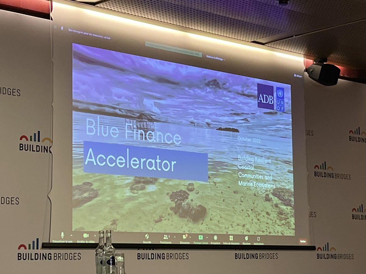 Big kudos to colleagues at @undp @MidoriPaxton @UNDPbiofin as we see more & more examples of your tangible efforts to grow pro-poor nature & biodiversity finance across the Global South, from Uruguay SLB support, blue finance accelerator & more 🎉🎉 #BuildingBridges22