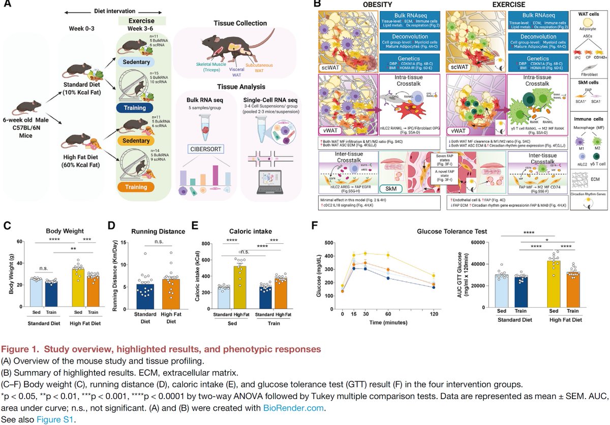 manoliskellis's tweet photo. Our #scMetab paper is out today #SingleCell dissection of #Obesity-#Exercise axis in #Adipose-#Muscle metabolic tissues
@Cell_Metabolism #MultiTissue #CellCommunication #Diet #healthy @MIT
News: https://t.co/nra1Zvp04w
Paper: https://t.co/tuYSrFXqOy
Data: https://t.co/fcnVtfRE4d https://t.co/p9GgVRqz3p