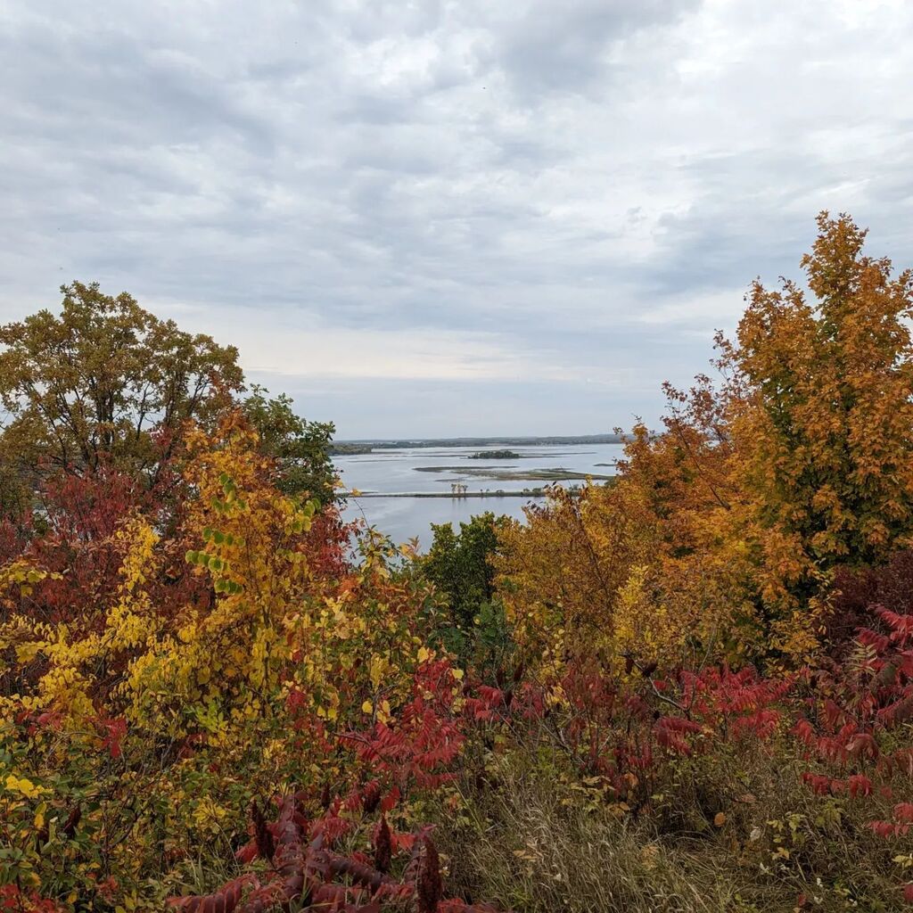 plainsandplanes's tweet photo. The fall colors were out in full force at Maplewood State Park!
#plains #midwest #mn #mnfall #mnfallcolors #minnesota #maplewoodstatepark #fall #fallcolors https://t.co/ARwd23qcdc https://t.co/LfdA7Xom1z