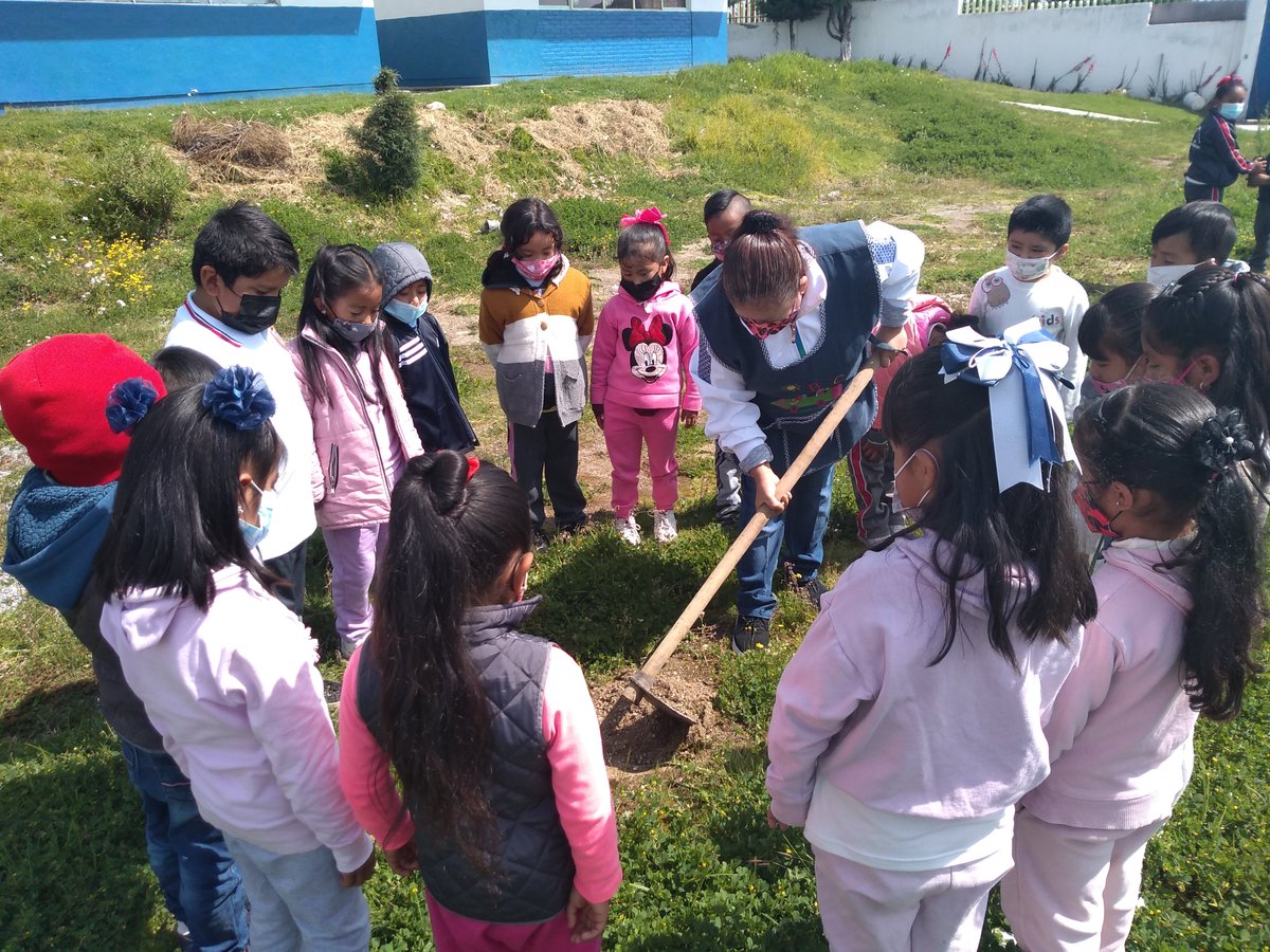 04benitojuarez's tweet photo. Escuela Primaria Benito Juárez
C.C.T. 15EPR1486X Zona Escolar P287
El personal docente, alumnos y director participaron en la campaña #Edomex reforestación #UnÁrbolUnAlumnoUnFuturo para el cuidado del Medio Ambiente @TinocoGRogelio,@ZonP287, @SEB_Edomex, @CampoEdoMEx,@Probosque https://t.co/LJK1eNXV5e