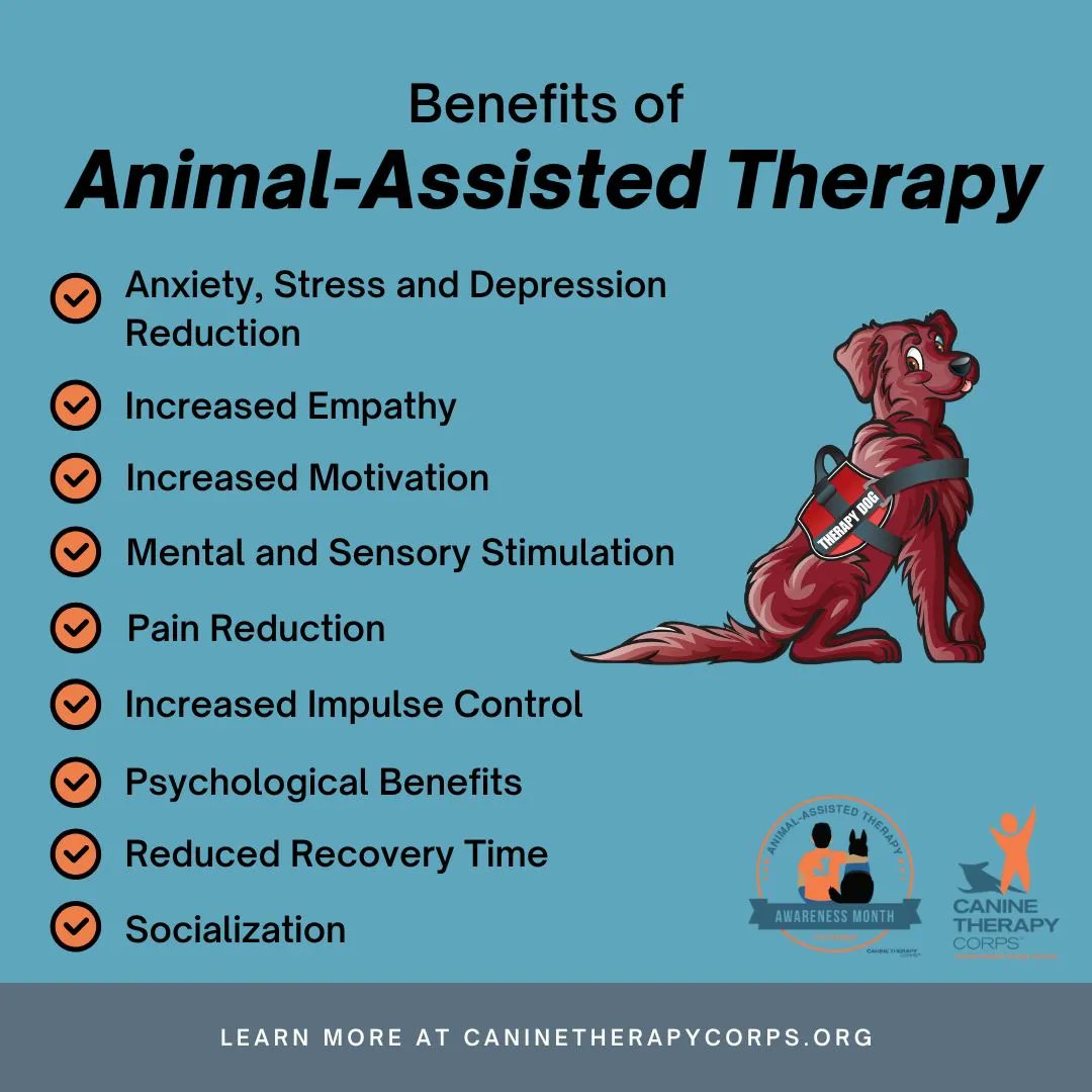 + increased empathy
- less stress, anxiety &amp; depression
- pain reduction
+ motivation
+ impulse control
+ quicker recovery time
+ socialization 

We could all use a little animal-assisted therapy, right?!
#animalassistedtherapymonth 

 #animalassistedtherapymonth