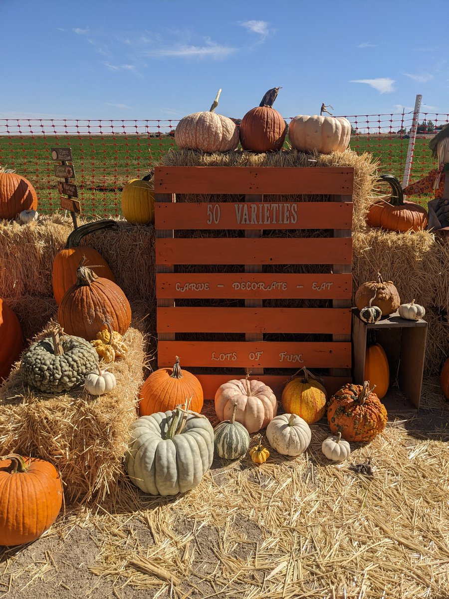 Nikayla Strauss, PhD tweet media