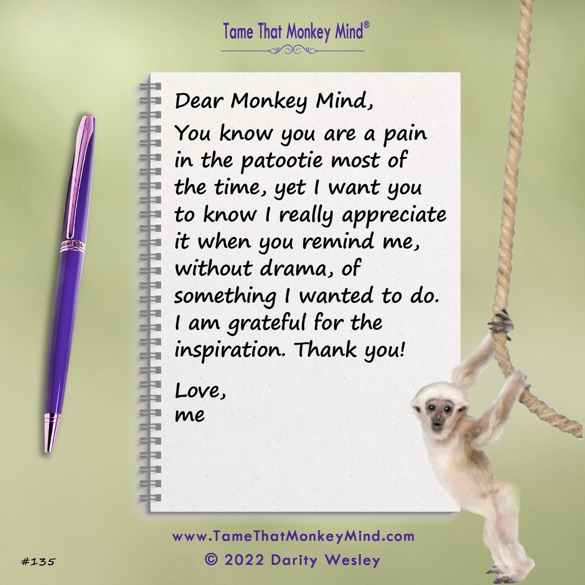 DarityWesley's tweet photo. Here’s the latest post from my Tame That Monkey Mind website https://t.co/6dwta0eTnh. What’s your monkey mind chattering about today? 🐵💖 https://t.co/kGRHmgS1zf