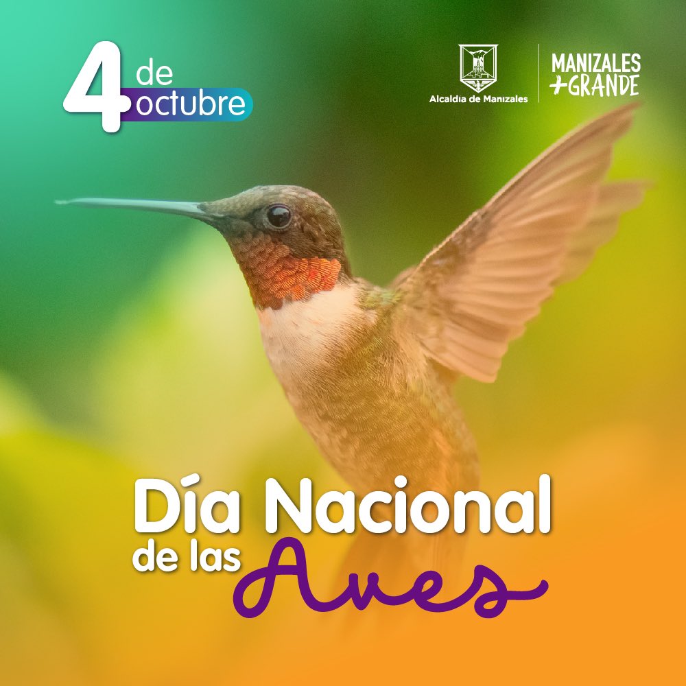 Alcaldía de Manizales tweet media