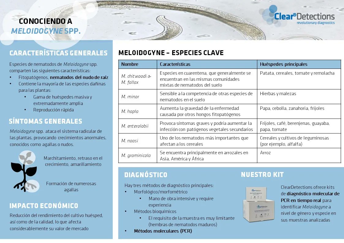 ClearDetection1's tweet photo. El conocimiento es poder. ¿Quiere saber más sobre los nematodos parásitos de plantas? Comencemos con #Meloidogyne spp. Míralo ⬇️
 
#nematodo #qPCR #diagnostico #molecular https://t.co/BmoRQAo0sT
