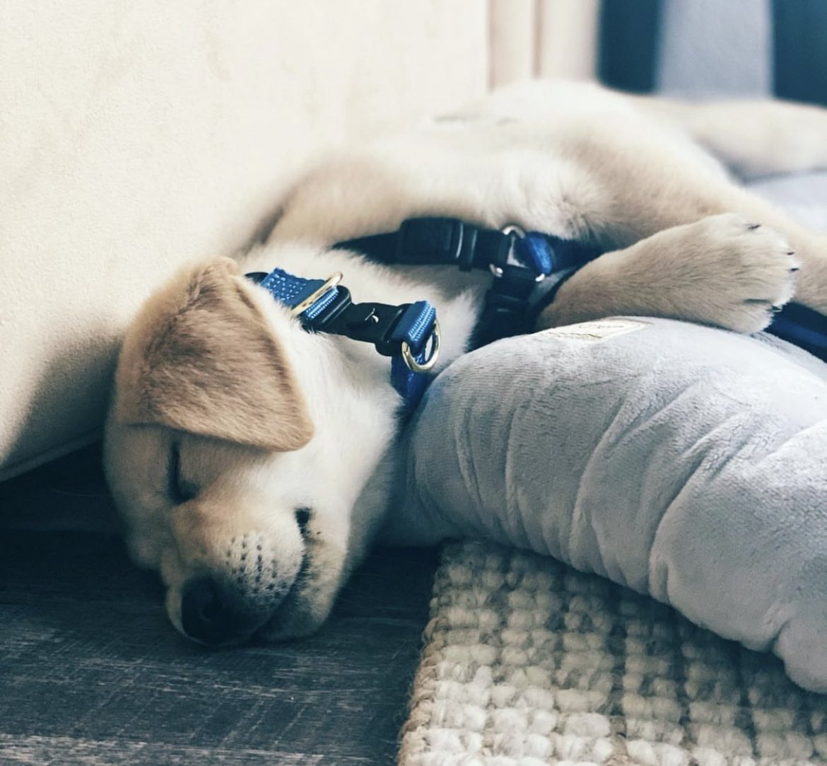 beccaglasmeier's tweet photo. https://t.co/bxZUMRzuGG
