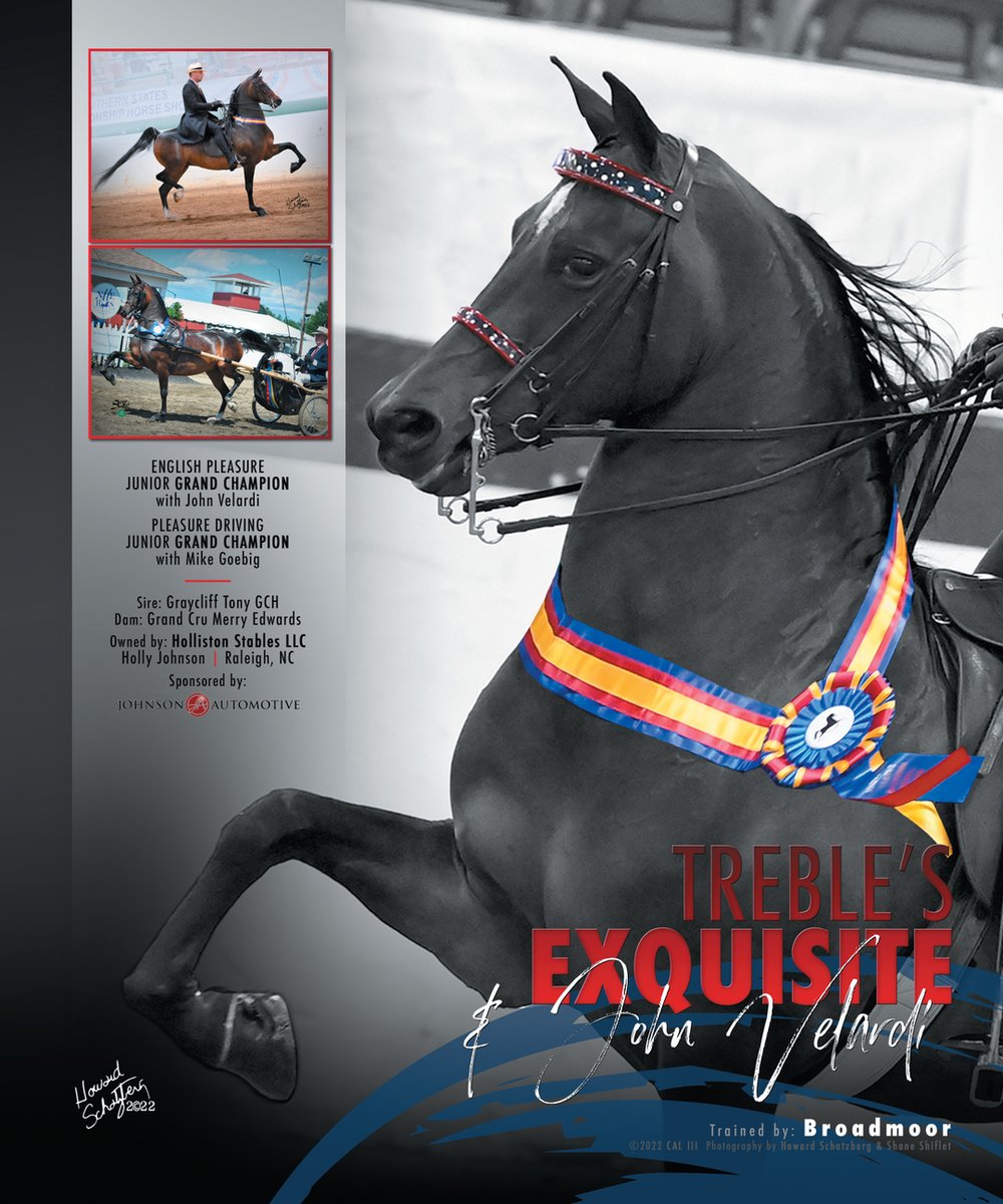 TNH1865's tweet photo. #nationalhorseman #johnvelardi #mikegoebig #hollistonstablesllc #johnson #broadmoor #englishpleasure #pleasuredriving #morganhorse https://t.co/DqtOahQd60