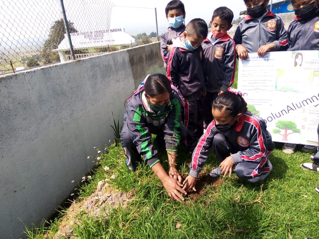 04benitojuarez's tweet photo. Escuela Primaria Benito Juárez
C.C.T. 15EPR1486X Zona Escolar P287
El personal docente, alumnos y director participaron en la campaña #Edomex reforestación #UnÁrbolUnAlumnoUnFuturo para el cuidado del Medio Ambiente @TinocoGRogelio,@ZonP287, @SEB_Edomex, @CampoEdoMEx,@Probosque https://t.co/LJK1eNXV5e