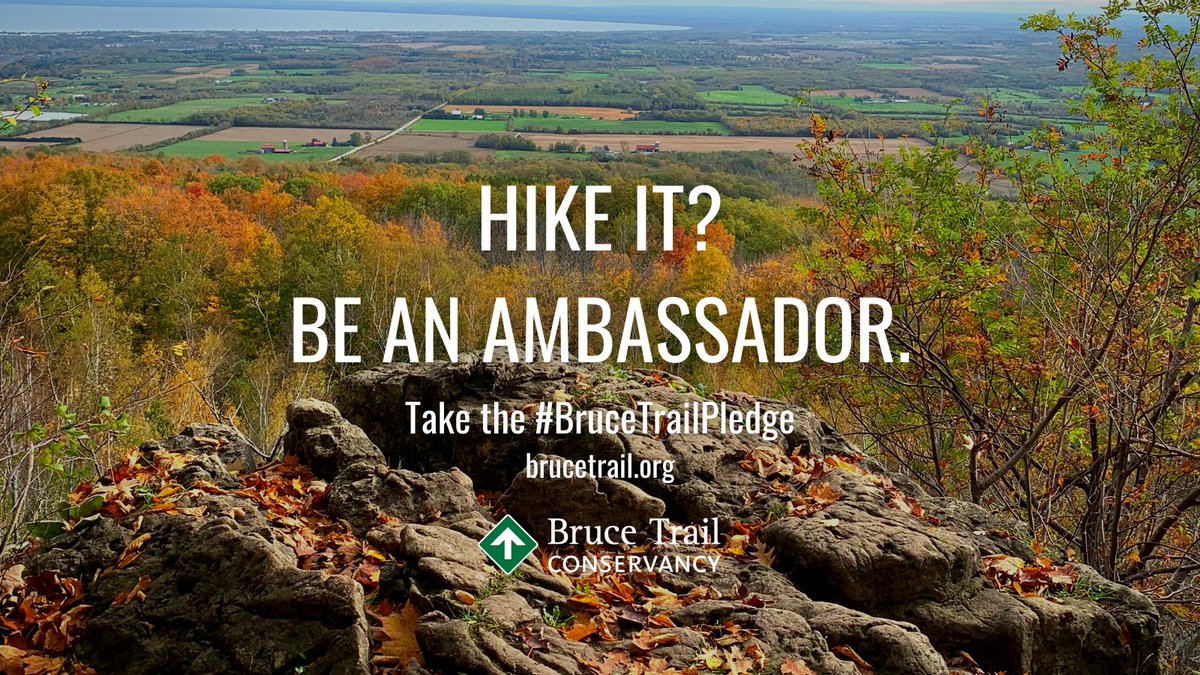 BruceTrail_BTC's tweet photo. Are you a fan of the Bruce Trail? Take the #BruceTrailPledge to show your love and challenge friends and family to do the same and help promote and protect the #BruceTrail and the irreplaceable Niagara Escarpment. https://t.co/z0hYFdsfx9 https://t.co/iNnSU9V5bl