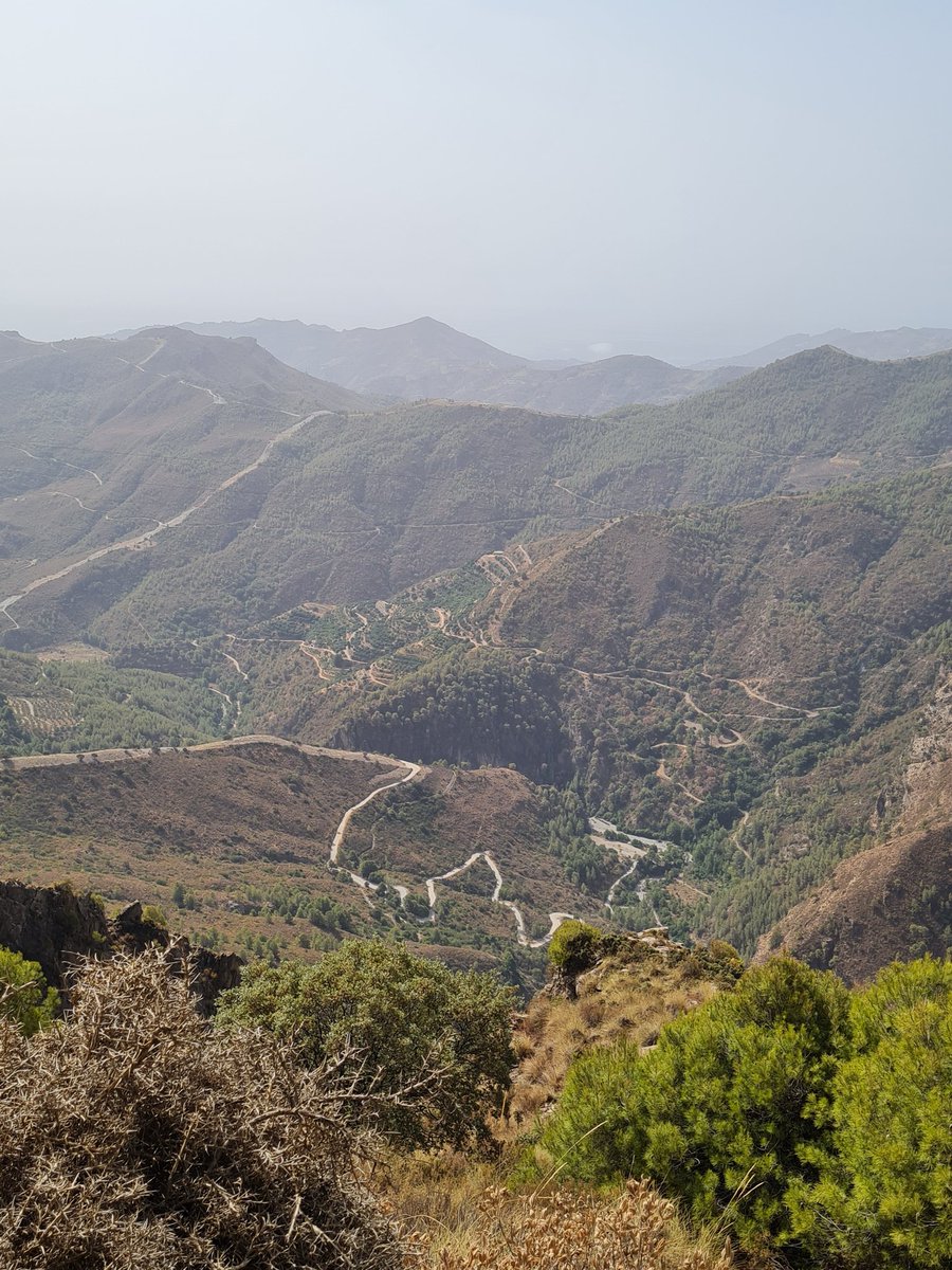 EM_Doc_Caesar's tweet photo. This is a road worth suffering for. #Goatpath 🐐 🇪🇸 🥵
@cyclesierra @threepockets https://t.co/Jg3KqJVpNw