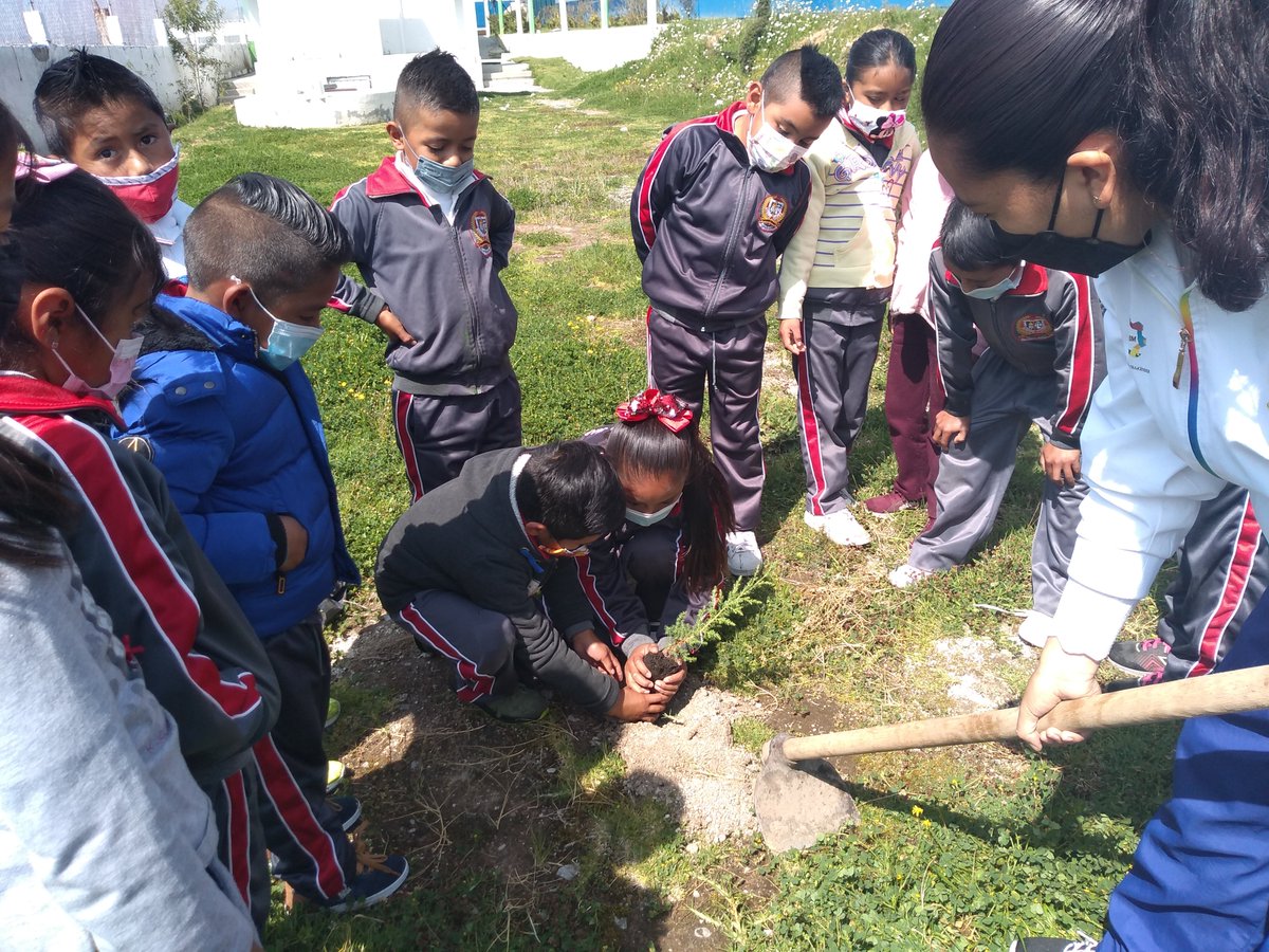 04benitojuarez's tweet photo. Escuela Primaria Benito Juárez
C.C.T. 15EPR1486X Zona Escolar P287
El personal docente, alumnos y director participaron en la campaña #Edomex reforestación #UnÁrbolUnAlumnoUnFuturo para el cuidado del Medio Ambiente @TinocoGRogelio,@ZonP287, @SEB_Edomex, @CampoEdoMEx,@Probosque https://t.co/LJK1eNXV5e
