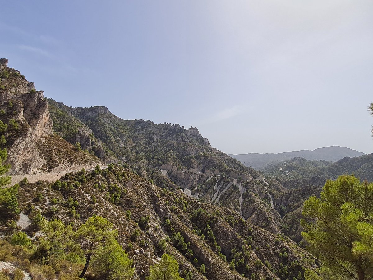 EM_Doc_Caesar's tweet photo. This is a road worth suffering for. #Goatpath 🐐 🇪🇸 🥵
@cyclesierra @threepockets https://t.co/Jg3KqJVpNw