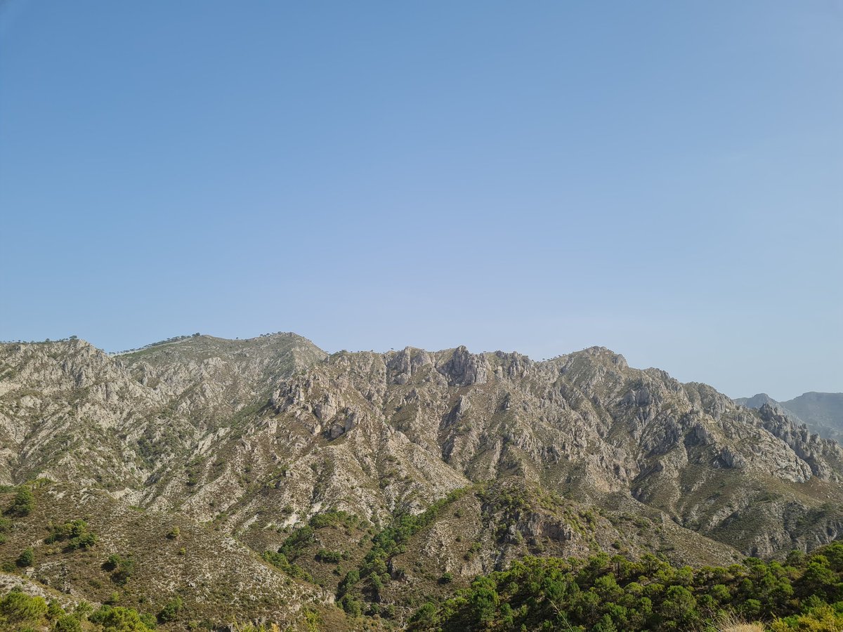 EM_Doc_Caesar's tweet photo. This is a road worth suffering for. #Goatpath 🐐 🇪🇸 🥵
@cyclesierra @threepockets https://t.co/Jg3KqJVpNw