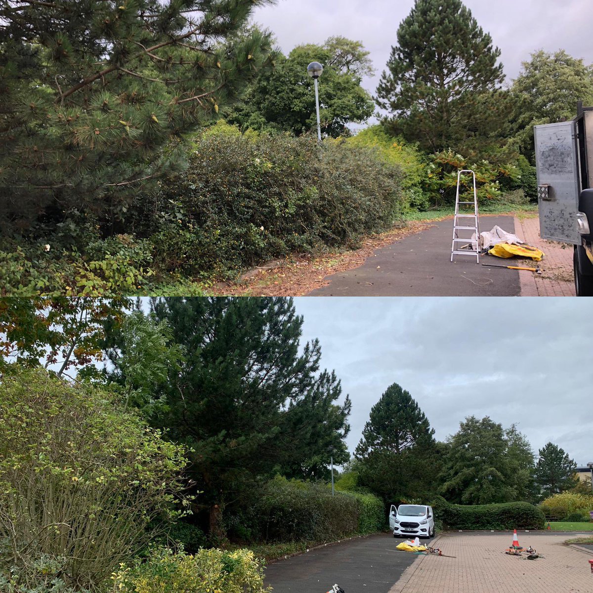 The Pro Landscapes maintenance team have been busy today carrying out vegetation reduction and clearance works in Solihull #LandscapeMaintenance  #maintenance #Landscaping #CommercialLandscaping #GroundsMaintenance