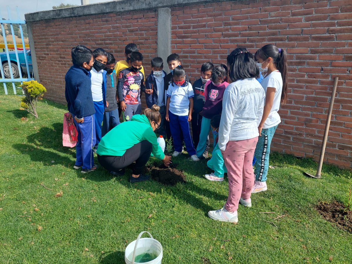 FebreroPrim's tweet photo. Primaria 24 de febrero 
15EPR1478O
ZE P287
#ReforestacionEdoMex
@TinocoGRogelio 
@geramonro05 https://t.co/WwtviiX9i1