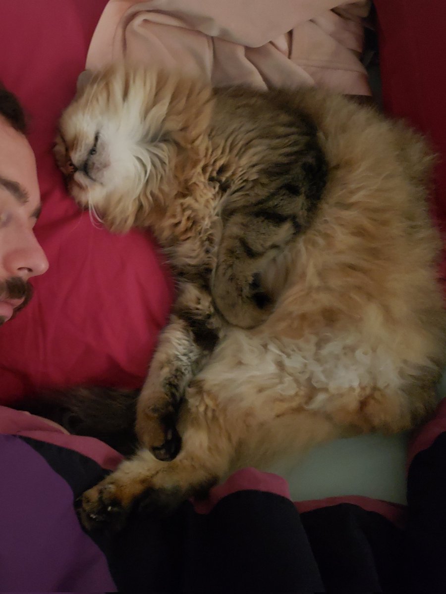 AlixJaouen's tweet image. Ce matin on a fait les chamoureux avec Papou !