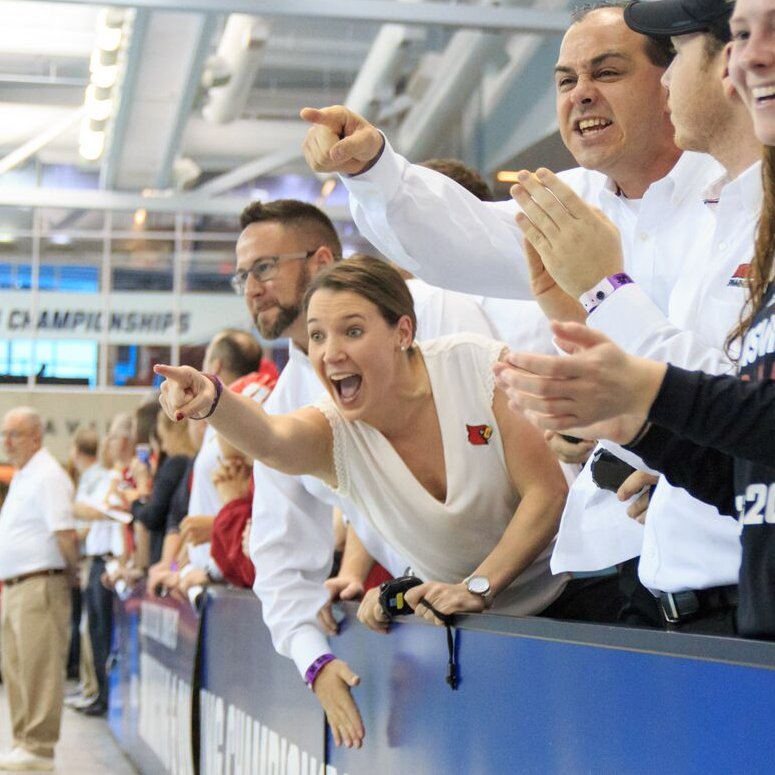 Louisville Swim & Dive tweet media