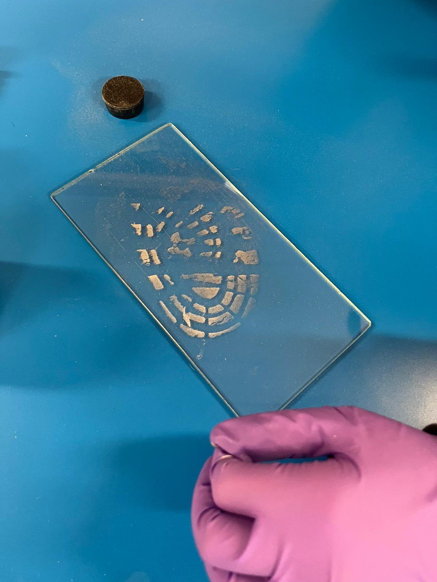 Balwearie Modern Studies (@balweariemods) on Twitter photo 5E1 NPA Criminology’s turn to have an input from Amanda, <a href="/ScotPolAuth/">Scottish Police Authority</a> Forensic Services, today. Pupils in both classes have thoroughly enjoyed these visits <a href="/BalwearieHigh/">Balwearie High</a> <a href="/BHS_DYW/">Balwearie DYW</a> 5E1 NPA Criminology’s turn to have an input from Amanda, <a href="/ScotPolAuth/">Scottish Police Authority</a> Forensic Services, today. Pupils in both classes have thoroughly enjoyed these visits <a href="/BalwearieHigh/">Balwearie High</a> <a href="/BHS_DYW/">Balwearie DYW</a>