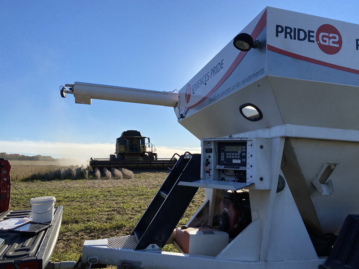 FrankCrops's tweet photo. 🎶   It's the Most Wonderful Time of the Year  🎶😍

@PRIDESeeds @SEMENCESPRIDE https://t.co/1X5eXUXUnJ