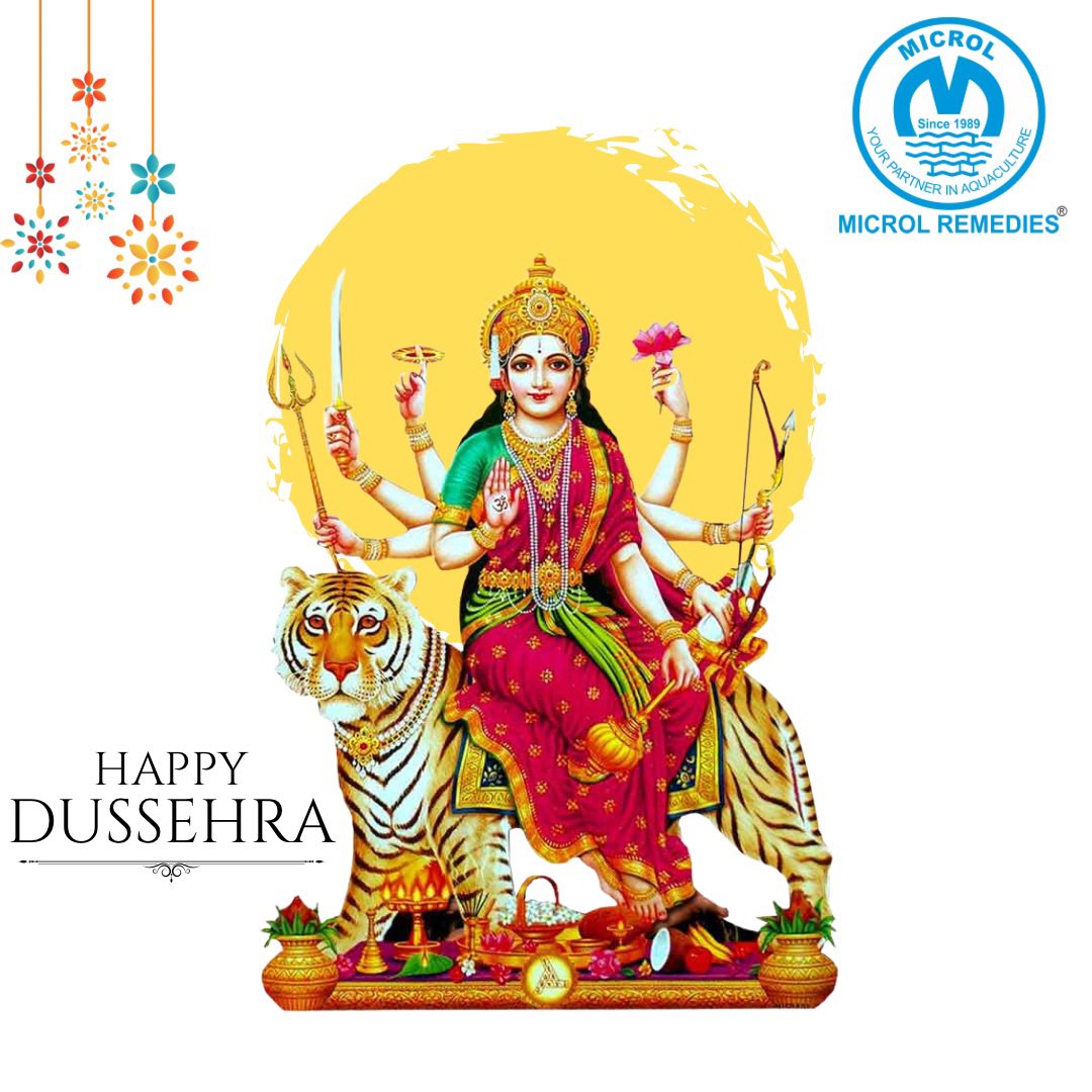 MicrolRemedies's tweet photo. #Dussehra #Vijayadashami https://t.co/pXOSao1r8P