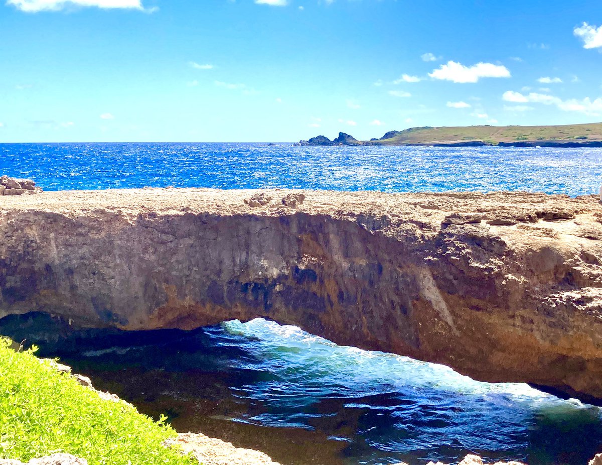 Wynn Westmoreland on Twitter: