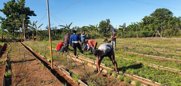 TelePinar's tweet photo. 💪La juventud de #Mantua, #PinardelRío se une a los trabajadores de la Tabacalera Mantua para reparar la Casa de Cultivos Semiprotegidos, afectada por los embates de Ian.
#FuerzaPinar 
✍ @LazaroBoza https://t.co/gNlyPHLU2p