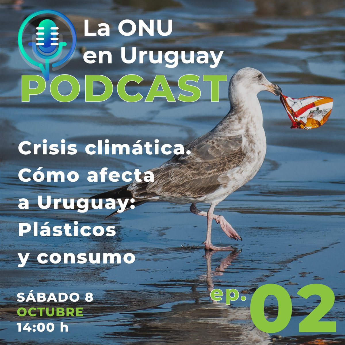 📻 Este sábado presentaremos el trabajo de #ONUDI en Uruguay en materia de #Plásticos junto a <a href="/UruplacRecicla/">Uruplac Reciclados</a>, #PNUMA y <a href="/PNUDUruguay/">PNUD Uruguay</a> 

⏰ Escuchalo el 8/10 a las 14 por <a href="/RadioUruguayUy/">Radio Uruguay</a> 

👉🏽Retransmisión: miércoles 12/10 a las 20.30 por <a href="/radioculturauy/">Radio Cultura</a> 

<a href="/ONUUruguay/">ONU Uruguay</a> #ODS13