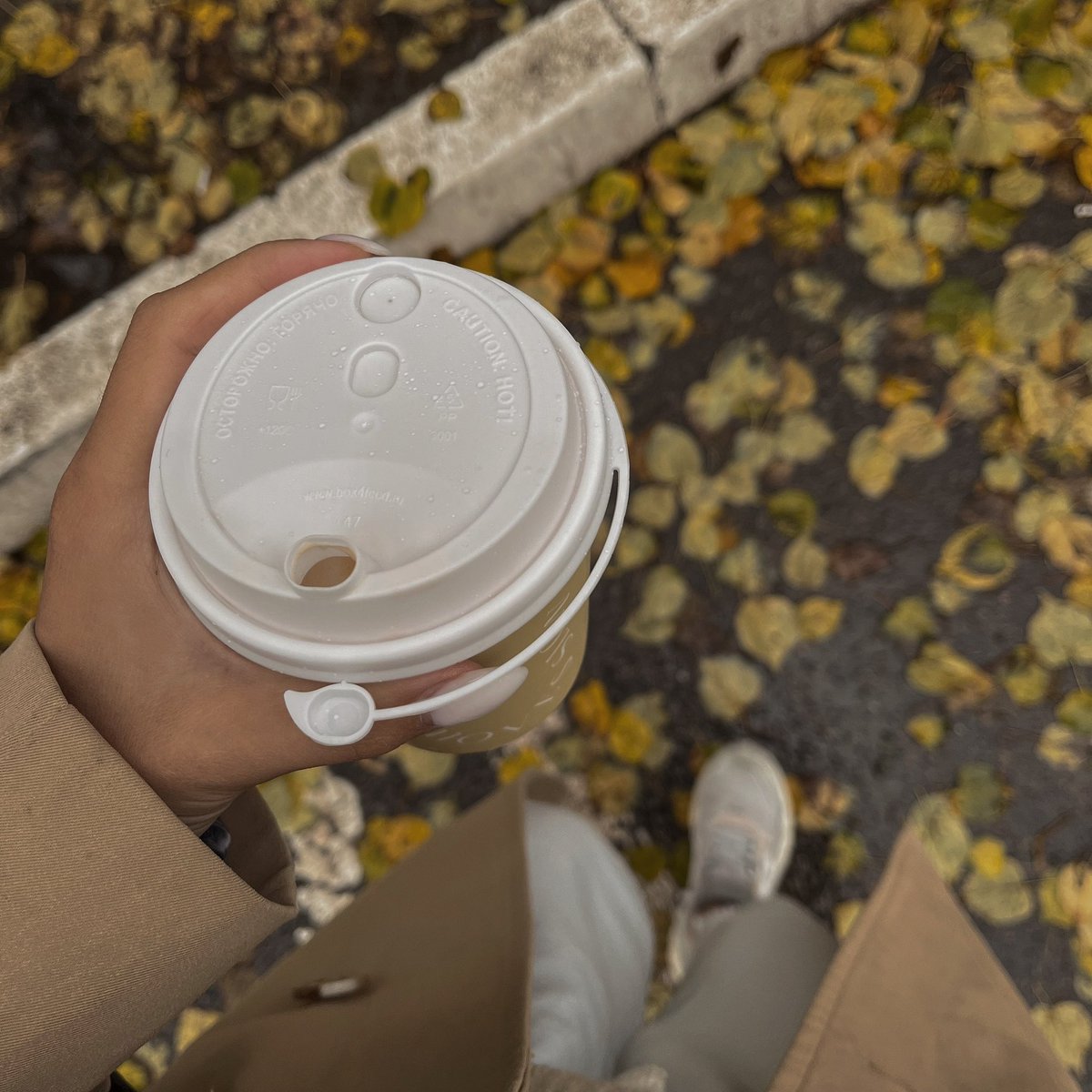 aksarina_'s tweet photo. 🍂 https://t.co/ie9CN9qCE6