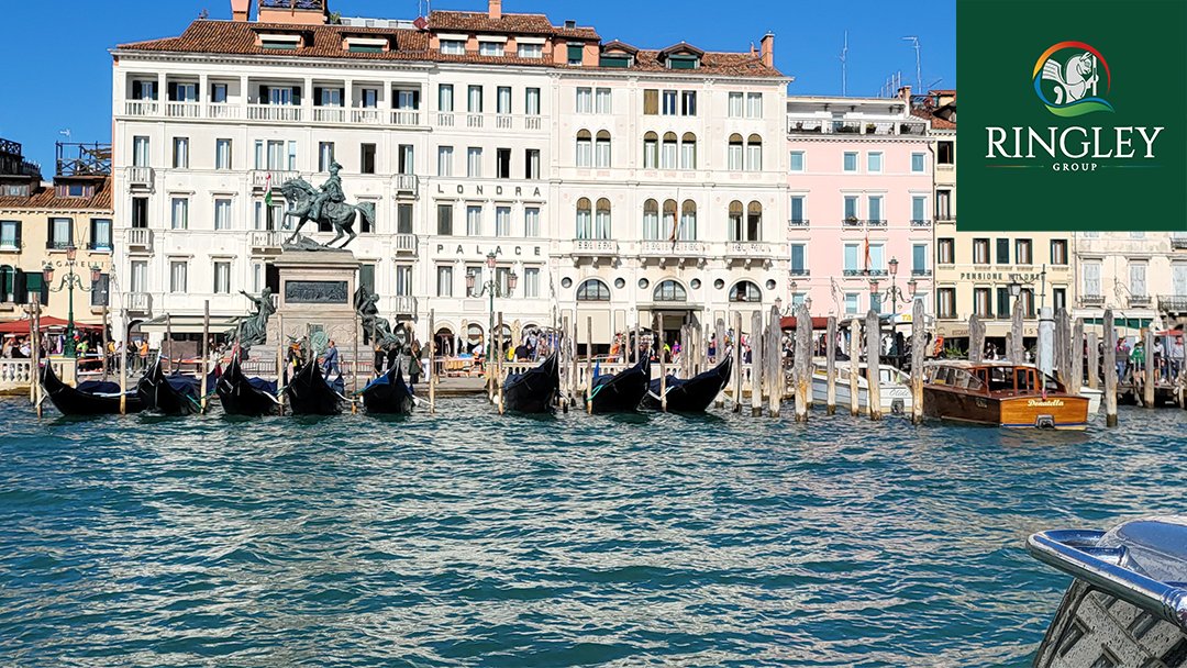 TheRingleyGroup's tweet image. Architecture is not limited to the building or monument, it also embodies the culture of the day 

#WorldArchitectureDay #worldarchitectureday2022  #architecture #greenarchitecture #ringleygroup #london #architects
#architectureaprreciation #modernarchitecture