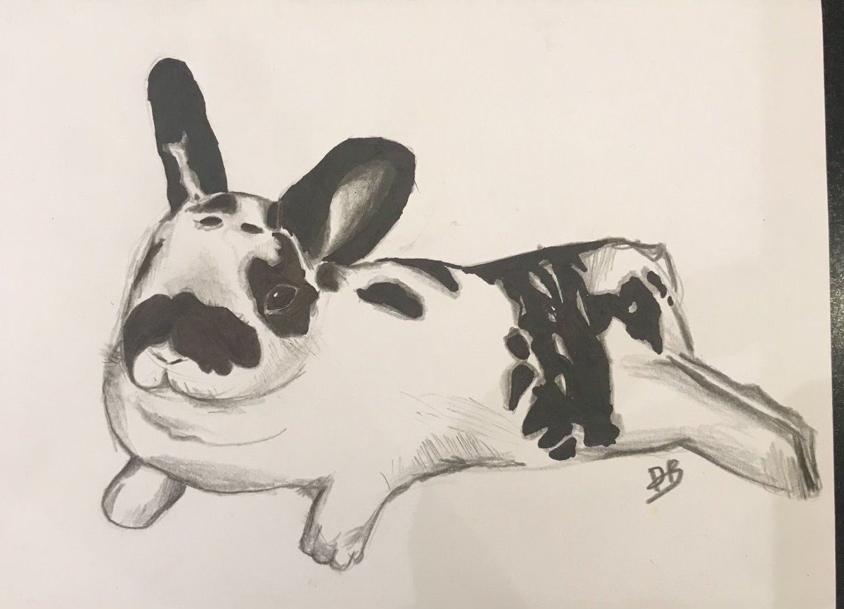 HGS_LearnSup's tweet photo. Staff Pet portraits by Daisy https://t.co/banLwPpmZ7