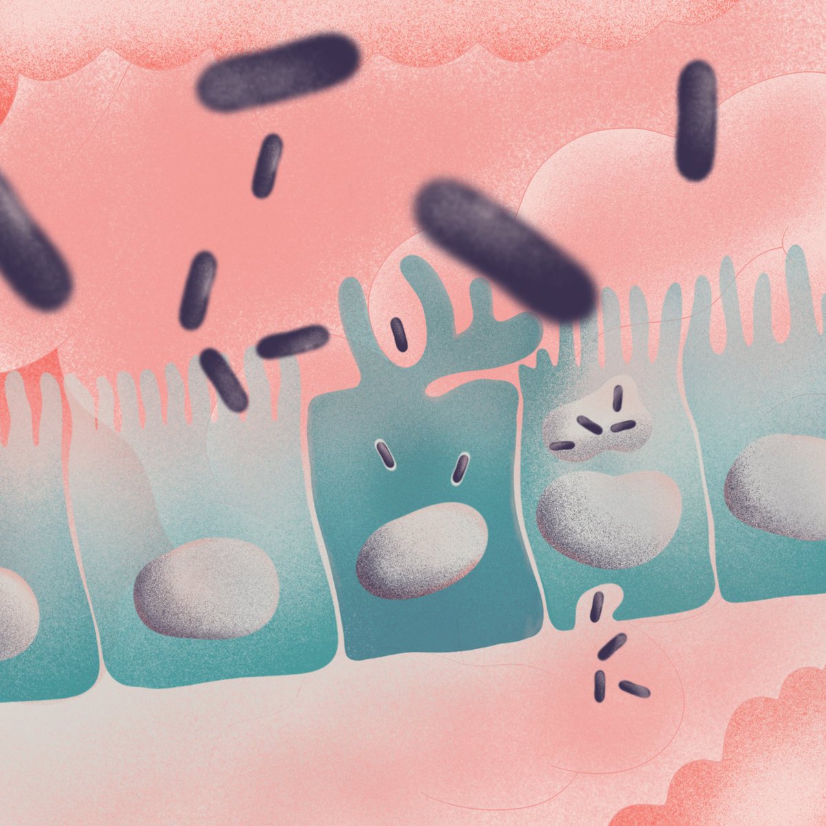 Bei_Kat's tweet photo. 3-Invasion #microber2022
There are many ways to invade a body. Bacteria master it, they can even pass through epithelial cells. #microber #sciart https://t.co/K6n40cRxbz