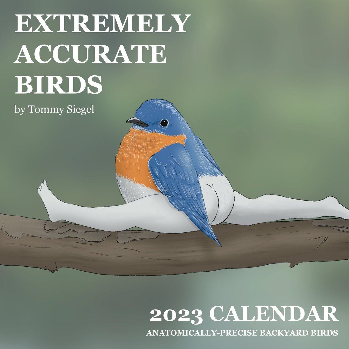 It’s happening, my fellow birders. The 2023 edition of my “extremely accurate birds” wall calendar is now available on my webstore. All-new photorealistic illustrations of backyard birds, the most anatomically-accurate collection of birds ever assembled!

tommysiegel.net/shop