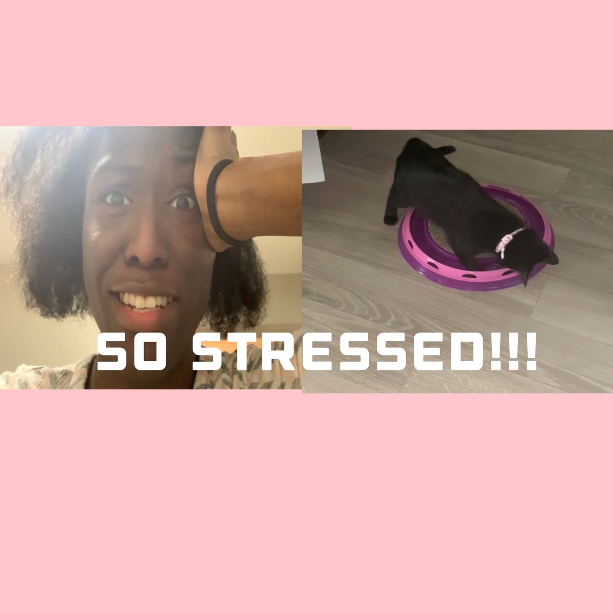 CyneasIdeas's tweet photo. 1st week with my new kitten is up on my @YouTube channel! https://t.co/RvJwrL0aWF #adoption #vlog #CatsOnTwitter #CatsofTwittter #newkitten #newcat #exhausted #stress #smallyoutubercommunity #smallyoutubersupport #smallbusinessowner #youtube #vlogger #youtuber #blackcat https://t.co/esG6vSuGlc