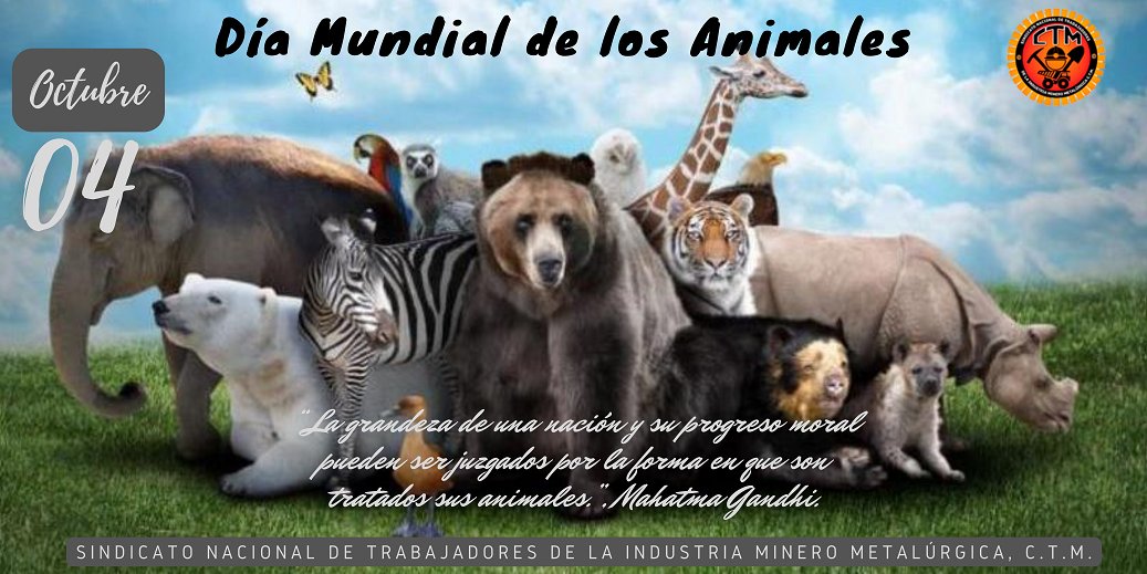 Octubre 04, Día Mundial de los Animales.