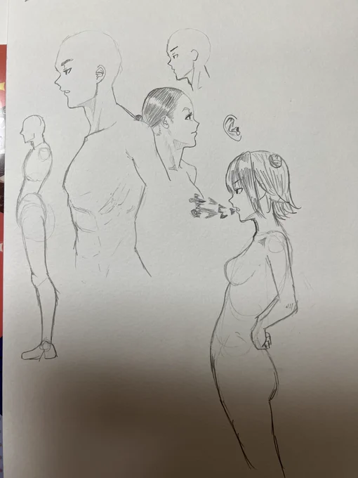 上手く描けなくてさっきまで絵描くのしんどかったのに寝なきゃいけない時間が近付きその準備しながら思い付いたことがあったので資料見ながらちょちょっと描いてみたら手応え感じて楽しくなってきた。なんやの?お姉ちゃん最近変やよ? 