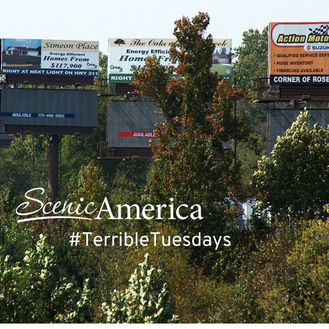 ScenicAmerica's tweet photo. This #TerribleTuesdays we highlight the junk mail of the American highway, billboards. Although these signs clutter our roadways, they do little to bolster local business. Read more about the importance of sign control: https://t.co/k2P68HCJYI
#FightTheBlight #Billboards https://t.co/mpKmJHBqQf