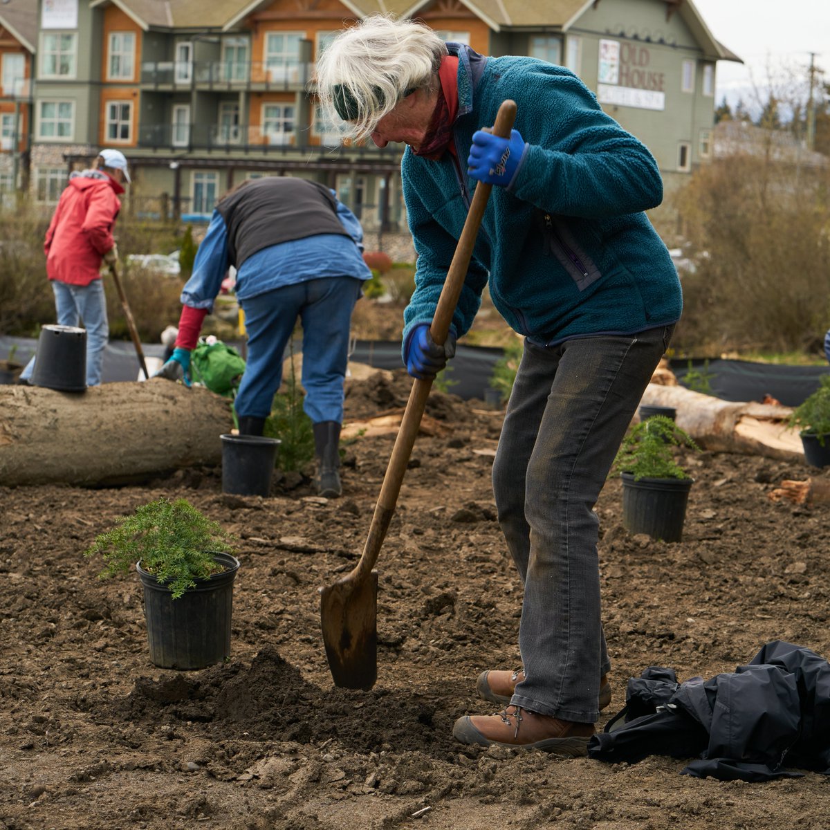 cvpws's tweet photo. A friendly reminder that today is the LAST DAY to sign up for our October 6th planting event at Kus-kus-sum! 
You can sign up here: https://t.co/RAcL8zIwu1

#volunteersmakeadifference #kuskussum #unpaveparadise #restoration https://t.co/XXE3nPNQph