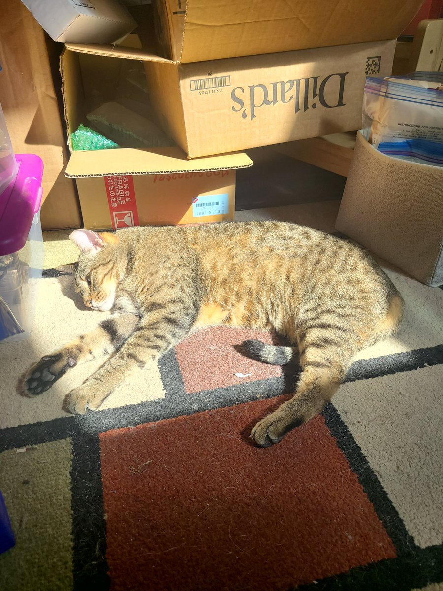 snickarp tweet media