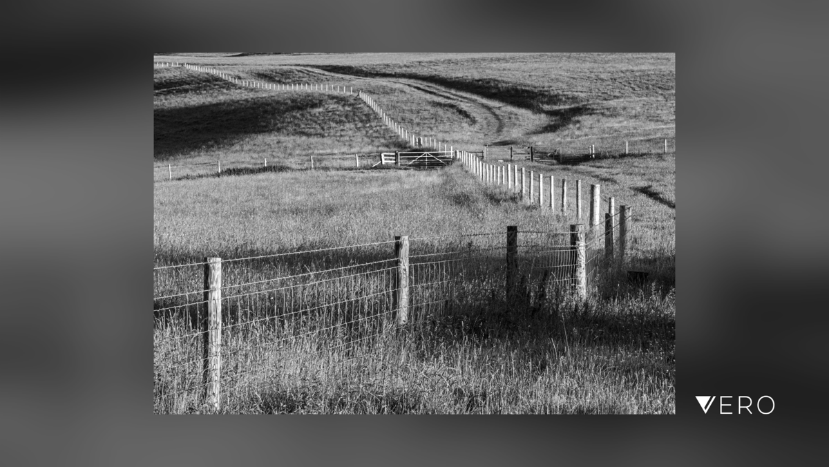 BobHolmanPhoto's tweet photo. Salisbury Plain, Wiltshire. Early morning
#smartshots #blackandwhitephoto #blackandwhitephotography #blackandwhite #iamarebelmember #iso100community #raw_bnw #shotoniPhone #rebels_united #rebel_bnw #podium_mono #monochrome #GoMono … https://t.co/foKwCvie0k https://t.co/UErNWN0afa