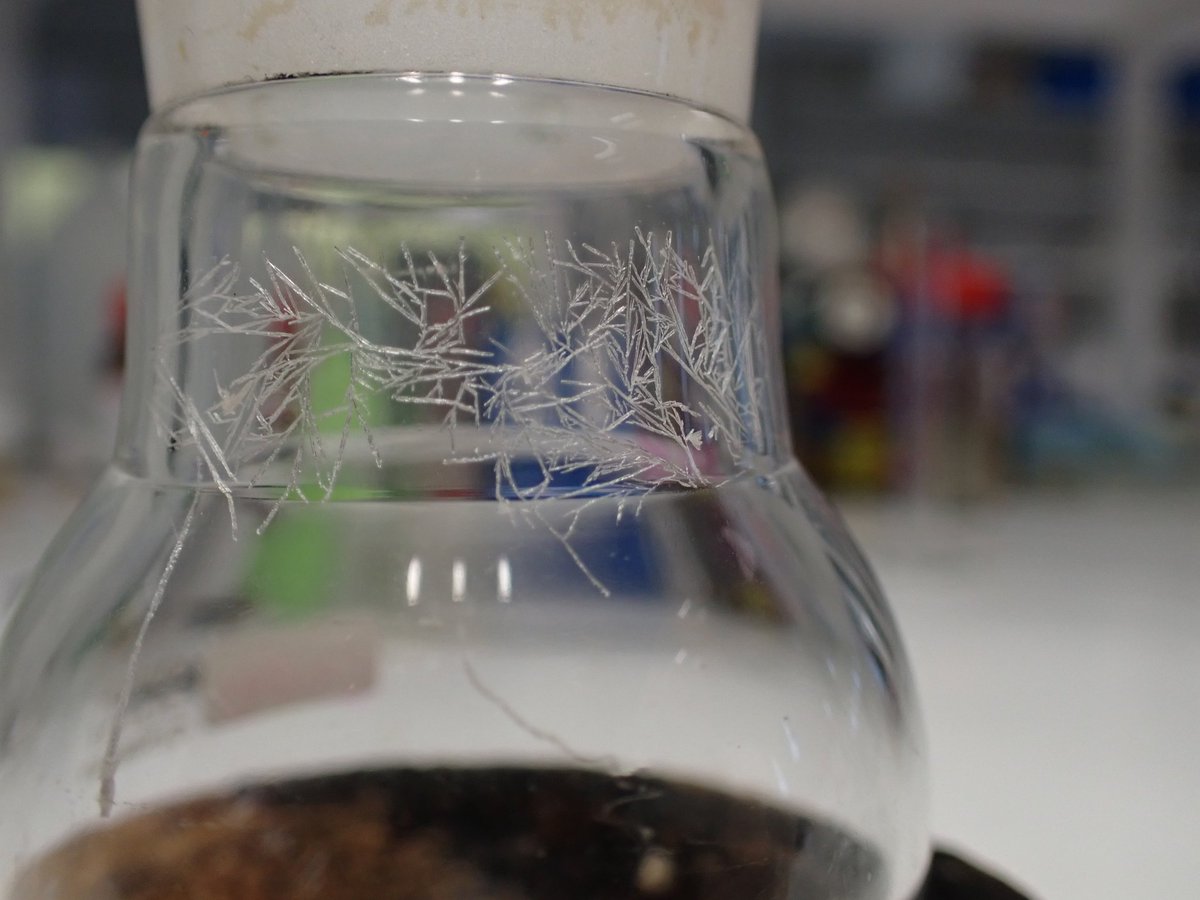 Unexpected crystals #RealTimeChem