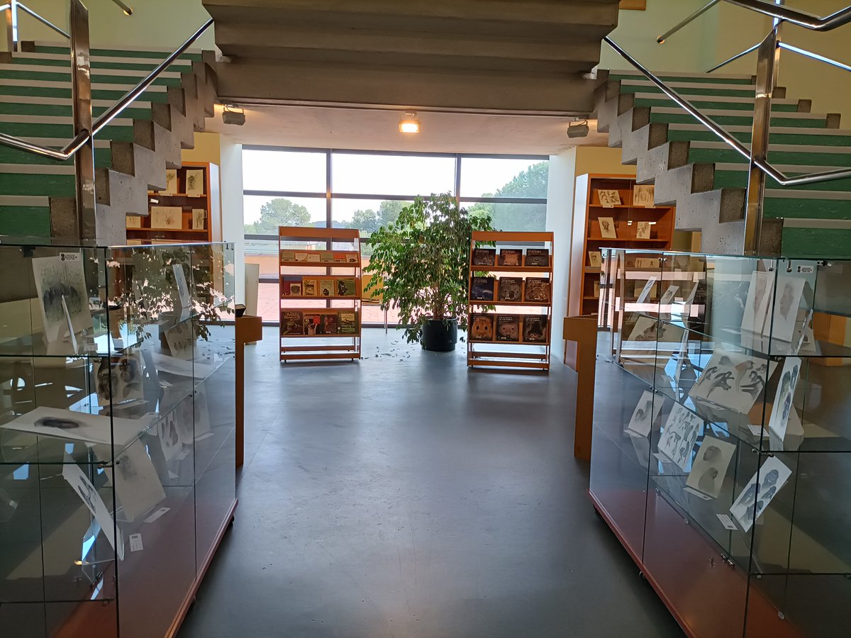 craibellesarts's tweet photo. 📣Demà inauguració de l'exposició "Dibuixar la natura. Jordi Sabater Pi" al @CRAImundet 👇

#SabaterPi #JordiSabaterPi https://t.co/QhjwBwrl7A