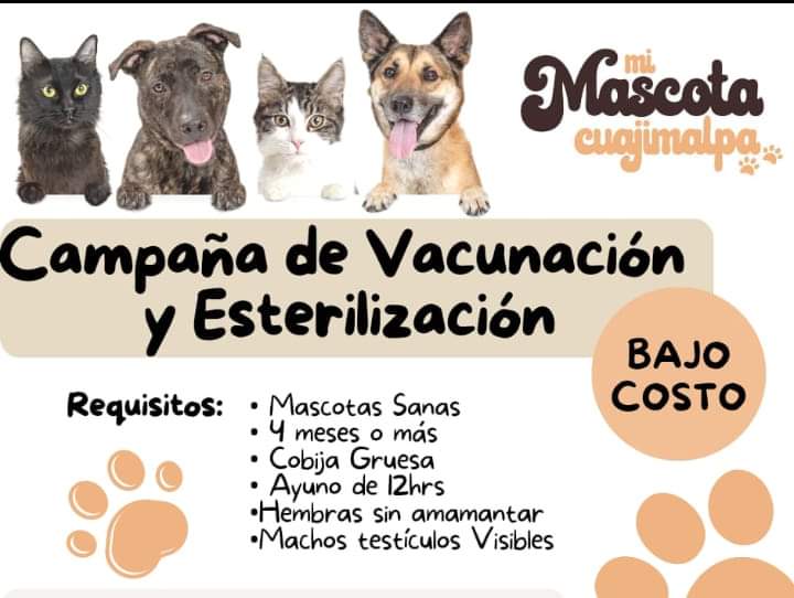 Seguidores buenos días, este sábado 08 de octubre tendremos Campaña de Esterilización y Vacunación a BAJO COSTO. 
Si deseas agendar envía WhatsApp al 5535115240 con gusto atenderemos tus dudas.
❣️😸🐕❤️😍🦮🐩🐶😺📣