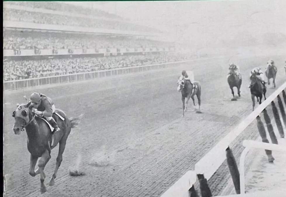 HORSERACING1002's tweet photo. TOP KNIGHT πΊπΈ 1966
(VERTEX - RAN-TAN BY SUMMER TAN) #TopKnight
B/O Steven B. Wilson (Flo) Apr 2, 1966
46-11-6-8------545,684 dls
1968 Champion 2yo colt
Champagne S, Futurity S, Hopeful S, Flamingo S, Florida Derby
2nd Tremont S, Everglades S,
3rd Garden State S, Bahamas S https://t.co/hsc9s2tpkT