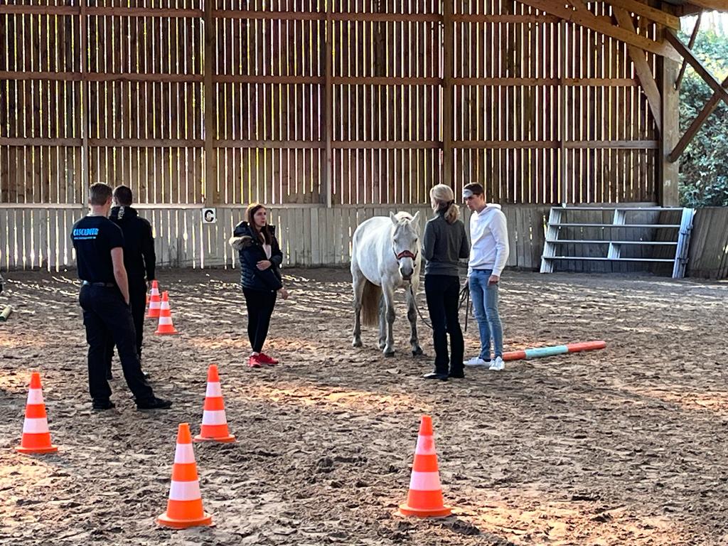 NadiaBouchefa's tweet photo. Pôle Emploi @MairieCrepy et @CCPaysdeValois mobilise 3jours d'#equicoaching à @Mortefontaine! 🎯 Prendre conscience de soi, confiance en soi grâce à la relation avec le cheval 👏Bravo à eux car oser, c'est le meilleur moyen de réussir !💪
👉https://t.co/dLFA9TiVZV https://t.co/v2mgbtRepN