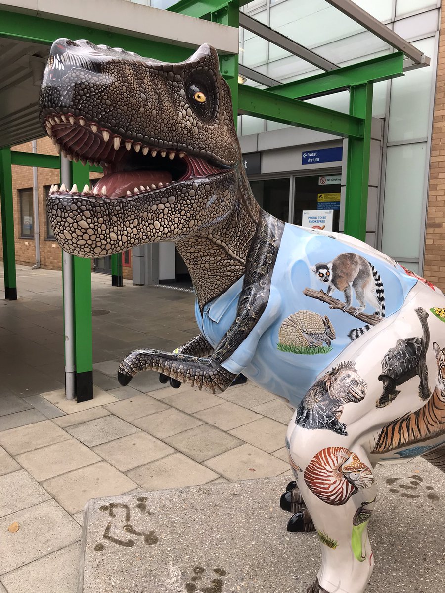 grettona's tweet photo. 🦖 A surprising visitor at Colney today but lifted the spirits seeing this outside @NNUH west outpatients. https://t.co/wfzOENQlqO