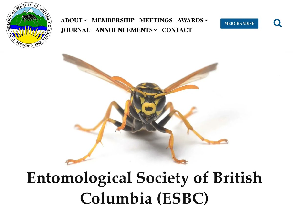 After a lot of work and more than a few speed bumps, we're excited to announce the launch of our redesigned website (buff.ly/3UY83y3). We welcome everyone to check it out!