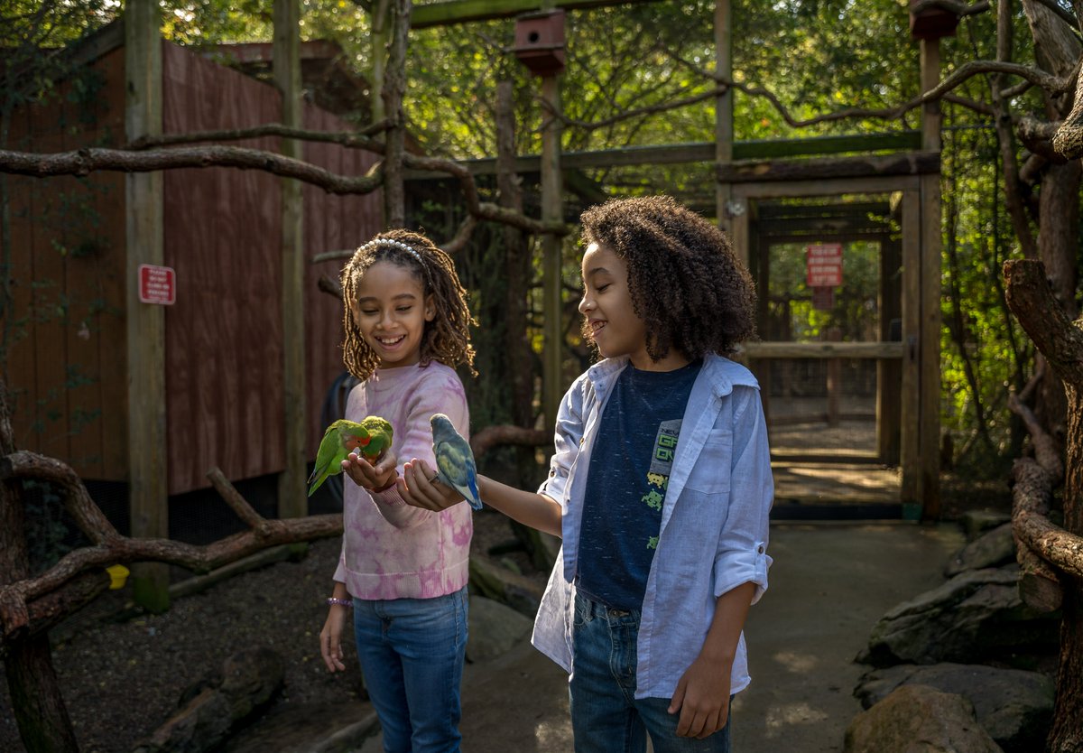 TrvlTasteTour's tweet photo. Experience the many trails of Lawrence County from authentic Amish experiences to wine and brew trails to blue and greenways and much more. Visit Lawrence County
#VisitLawrenceCounty #VisitPa #Travel #Taste #Tour #travelmagazine #safetravels #fallvacation https://t.co/CvxWctQygf