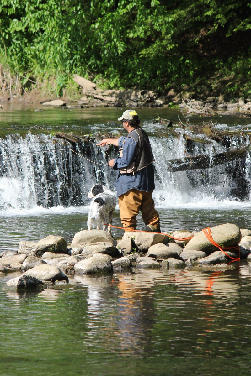 TrvlTasteTour's tweet photo. Experience the many trails of Lawrence County from authentic Amish experiences to wine and brew trails to blue and greenways and much more. Visit Lawrence County
#VisitLawrenceCounty #VisitPa #Travel #Taste #Tour #travelmagazine #safetravels #fallvacation https://t.co/CvxWctQygf